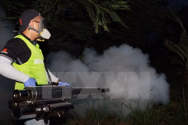 Dong Nai records one more Zika virus case ảnh 1 Dong Nai records one more Zika virus case ảnh 1