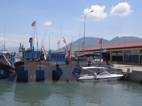 Thanh Hoa develops fishery logistics fleet ảnh 1 Thanh Hoa develops fishery logistics fleet ảnh 1