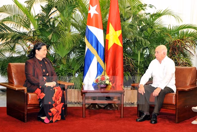 Vietnam, Cuba vow to reinforce relations ảnh 1