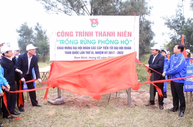 Young people called to join in planting trees ảnh 1