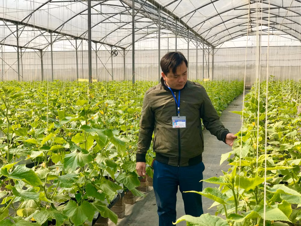 Personnel rotation in Bac Giang province bears fruit ảnh 1