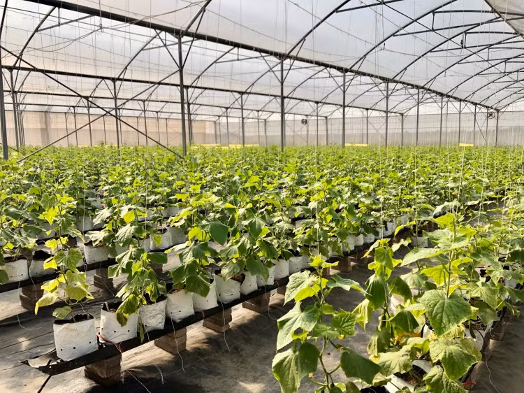 Personnel rotation in Bac Giang province bears fruit ảnh 2