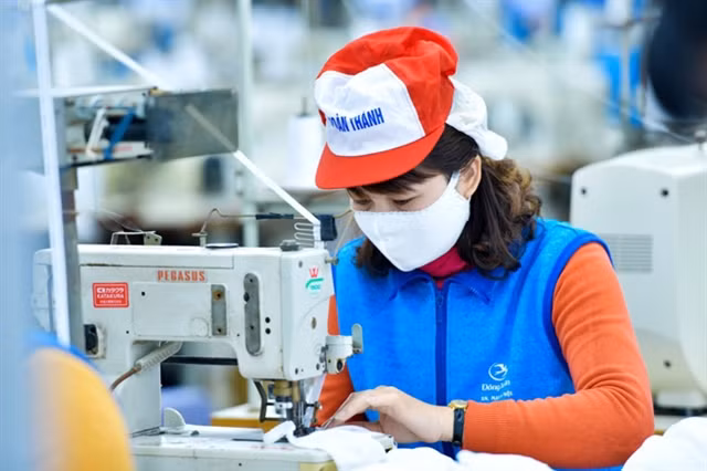 Vietnamese brands expected to be a highlight amid COVID-19 ảnh 1