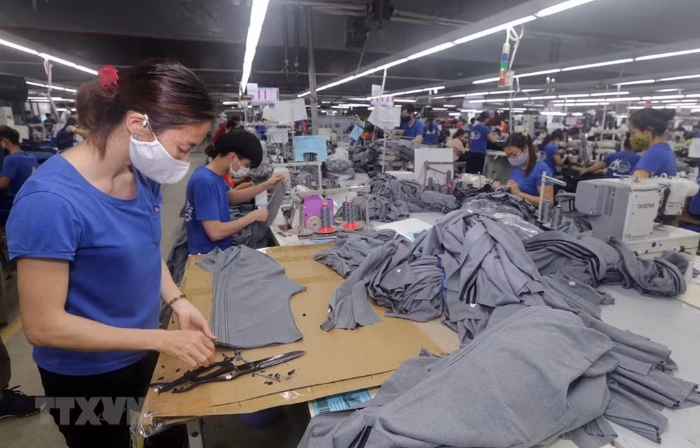 Over 70 pct of businesses help workers amid COVID-19 ảnh 1 Over 70 pct of businesses help workers amid COVID-19 ảnh 1