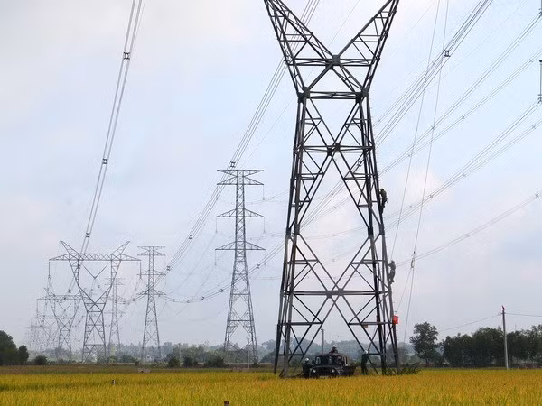 Dong Nai: 99.49 pct of households access national power grid ảnh 1 Dong Nai: 99.49 pct of households access national power grid ảnh 1