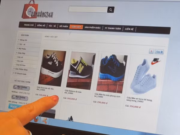 E-commerce contributes to growth ảnh 1
