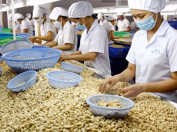 Agricultural production urged to keep up with market demand ảnh 1