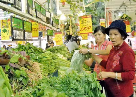 Dong Nai retail sector maintains strong growth ảnh 1