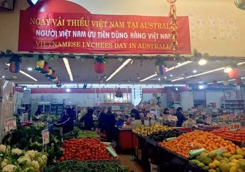 Regulation, market research key to export to Australia ảnh 1