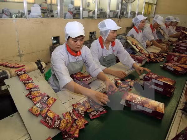 Dong Nai, Indian businesses seek partnership ảnh 1