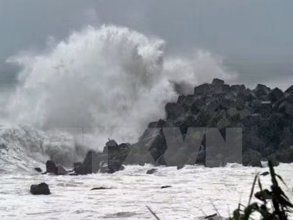 UNDP, Japan helps VN students deal with natural disasters ảnh 1 UNDP, Japan helps VN students deal with natural disasters ảnh 1