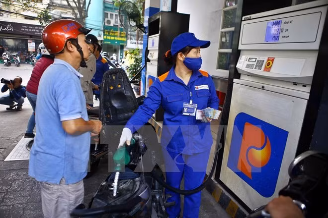 VINPA asks for petroleum protection ảnh 1