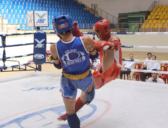 Vietnam’s Muaythai fighters win two gold medals at world champs ảnh 1