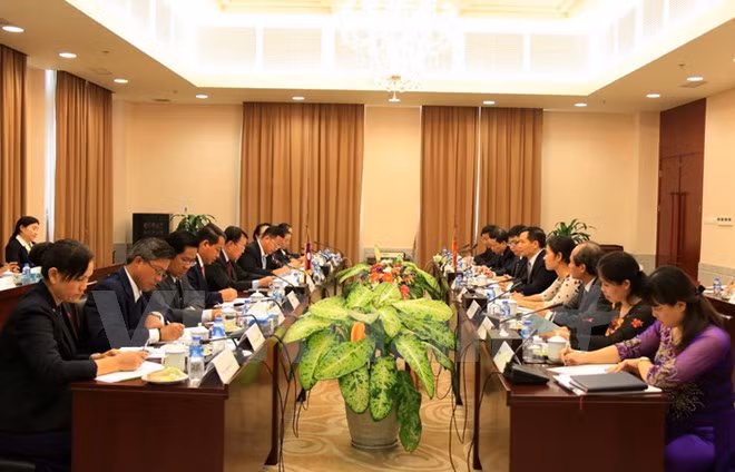 Offices of Vietnam, Laos Party Central Committees reinforce cooperation ảnh 1