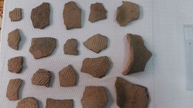 Pre-Sa Huynh Culture items found in Da Nang ảnh 1