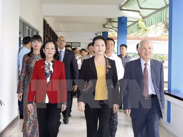 Vietnam-Cuba Friendship Association has new president ảnh 1