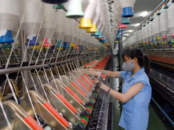 Production improvement needed to fulfill GDP growth target ảnh 1