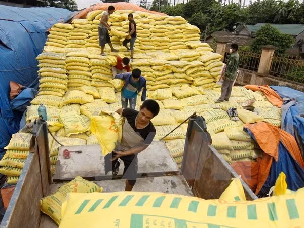 Vietnam’s fertiliser imports surge in five months ảnh 1 Vietnam’s fertiliser imports surge in five months ảnh 1