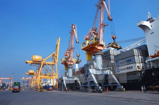 Deputy PM asks Hai Phong city to revise port fees ảnh 1 Deputy PM asks Hai Phong city to revise port fees ảnh 1