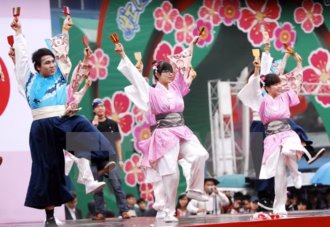 Dak Lak hosts Vietnam-Japan cultural exchange programme ảnh 1