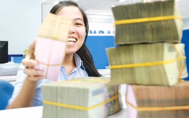 Vietnam has adequate budget oversight ảnh 1