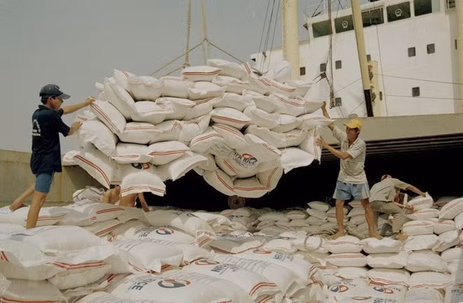 Vietnam wins bid to supply rice to Philippines ảnh 1