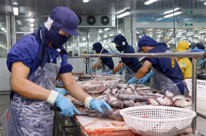 Vietnamese exporters must self-verify origin from 2019 ảnh 1 Vietnamese exporters must self-verify origin from 2019 ảnh 1