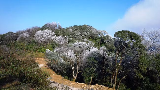 Cao Bang establishes Phia Oac – Phia Den National Park ảnh 1