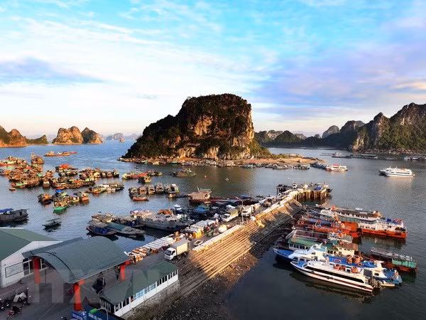 Legal framework needed to run special administrative-economic zones ảnh 1