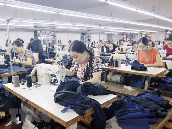 Project looks to ensure safe, fair labour migration for ASEAN women ảnh 1