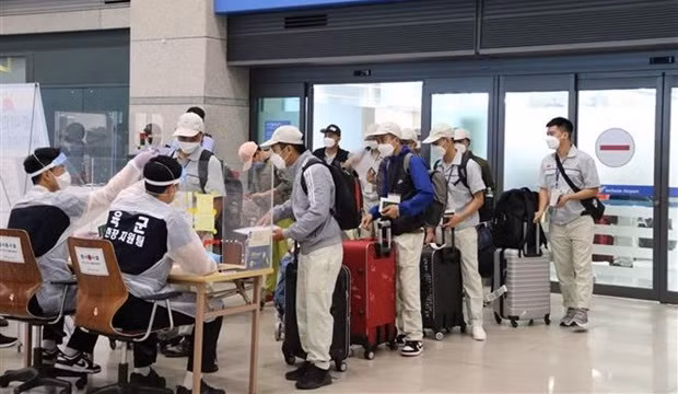 RoK waives quarantine, extends labour contracts for Vietnamese workers ảnh 1