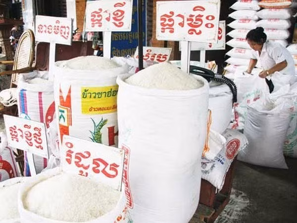 Cambodia announces special loan to stablise rice prices ảnh 1