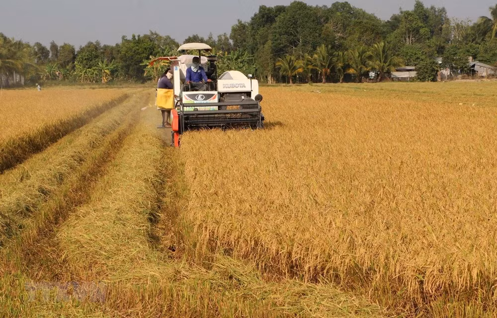 Universities, firms join hands in training high-quality agriculture workforce ảnh 1
