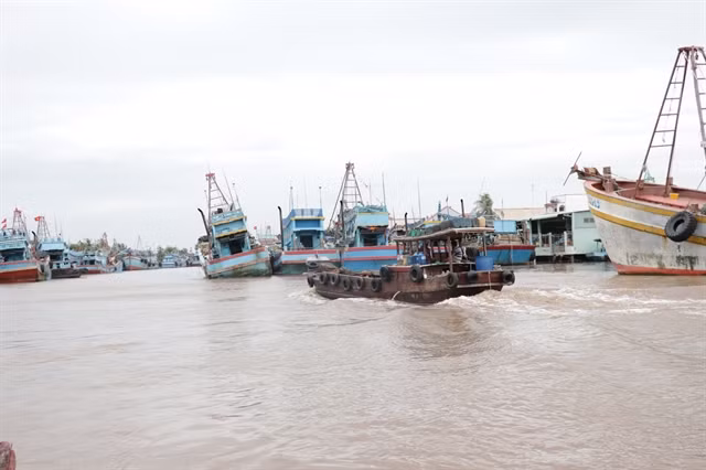 Ben Tre eyes sustainable development of marine economy ảnh 1 Ben Tre eyes sustainable development of marine economy ảnh 1