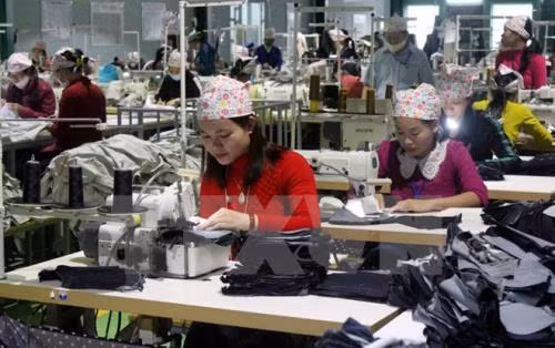 Vietnam’s workforce to reach over 54.4 million in Q2 ảnh 1 Vietnam’s workforce to reach over 54.4 million in Q2 ảnh 1