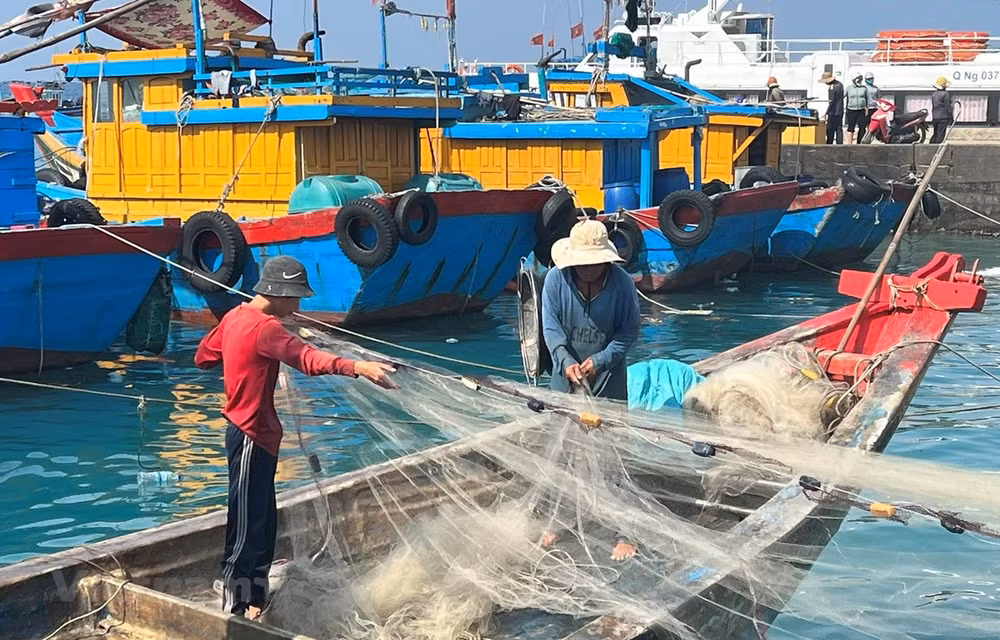 Vietnam plans sustainable development of fisheries sector ảnh 1
