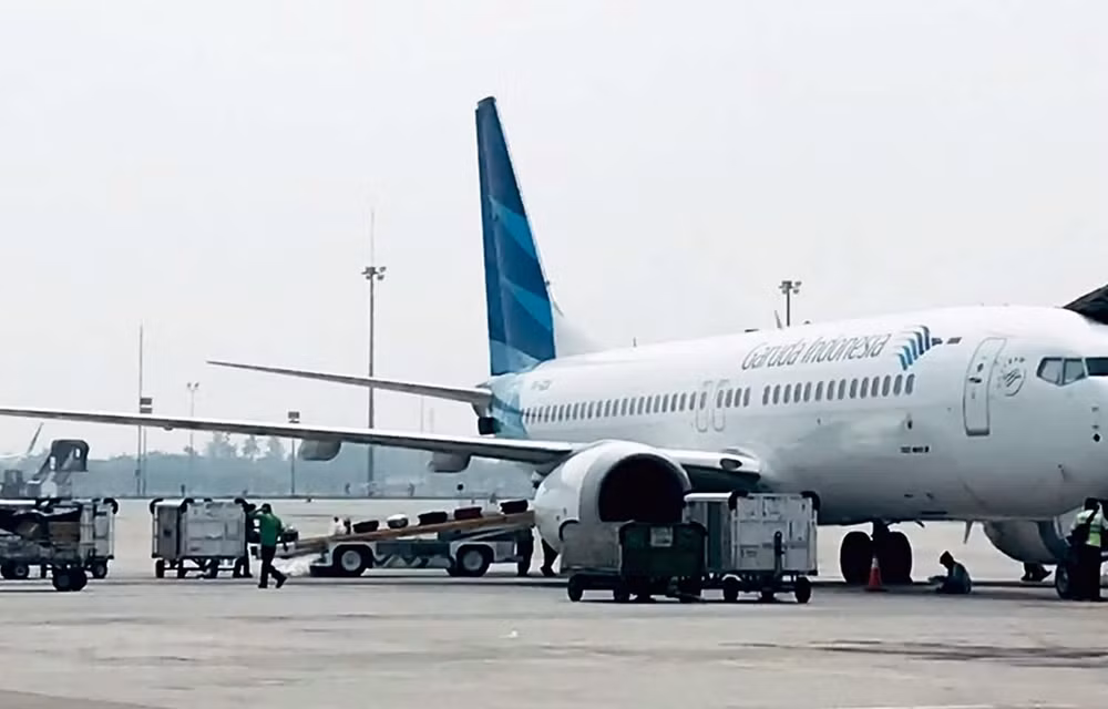 Indonesia’s aircraft maintenance firm expects rising demand ảnh 1