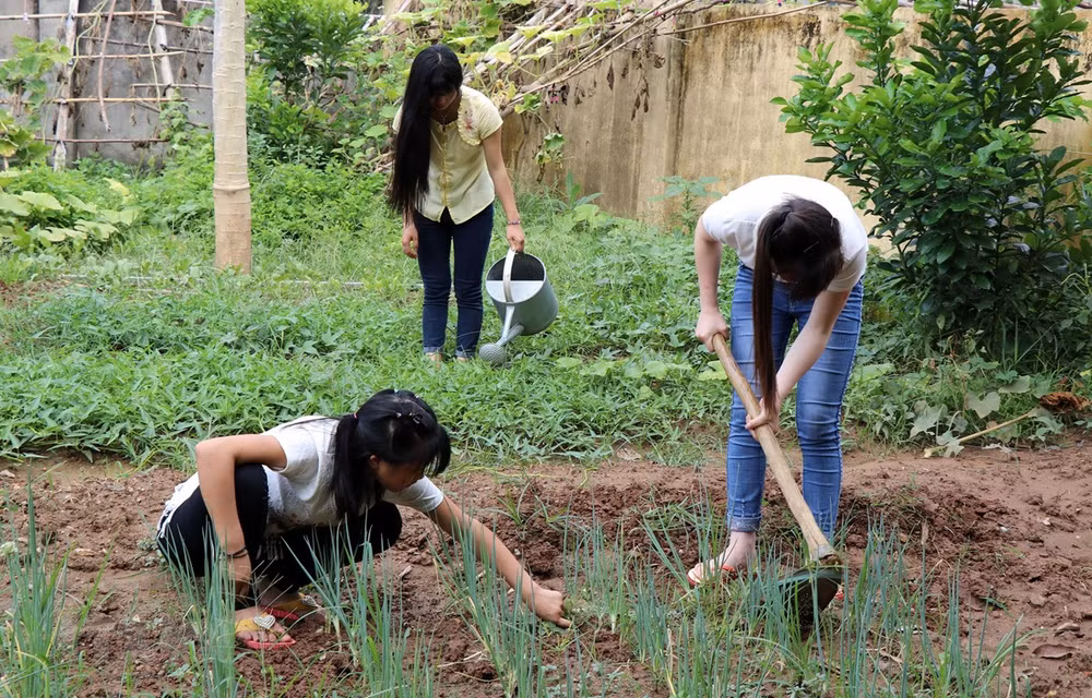 UK supports Vietnam in fight against human trafficking ảnh 1