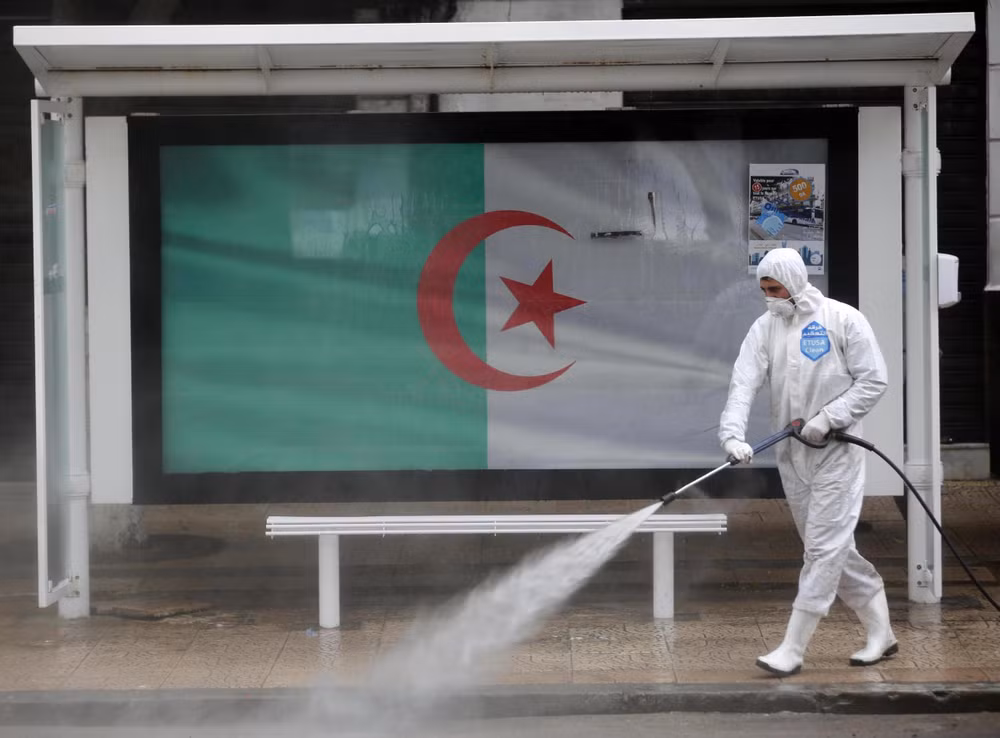 Vietnamese in Algeria urged to strictly follow anti-pandemic regulations ảnh 1