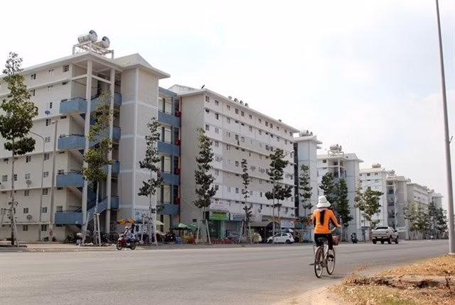 Association calls for consistent tax incentives for social housing developers ảnh 1
