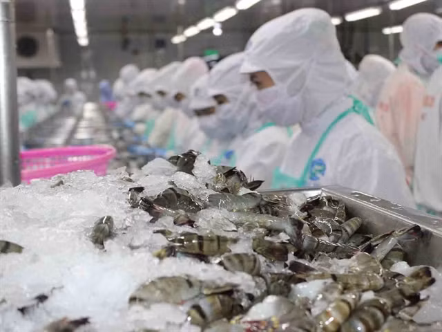 Sao Ta Food plans to buy back 2 million treasury shares ảnh 1